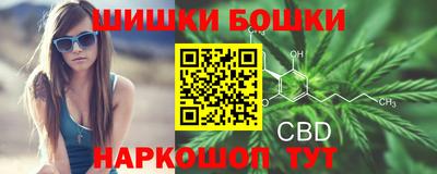СК Обь
