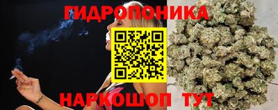 СК Обь
