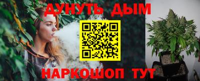 СК Обь