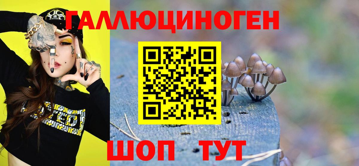 Псилоцибиновые грибы Psilocybe Рыбинск