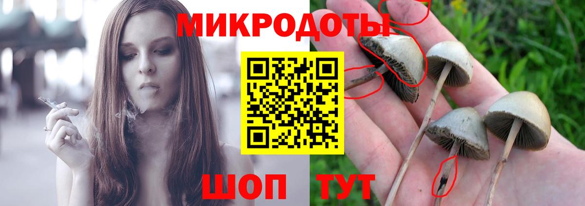 Псилоцибиновые грибы Magic Shrooms  Вход с VPN  даркнет сайт  Рыбинск  Псилоцибиновые грибы мухоморы 